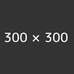 300x300